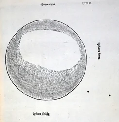Sphera solida, illustration from 